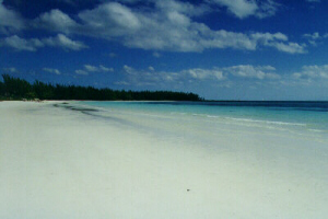 beach2.jpg