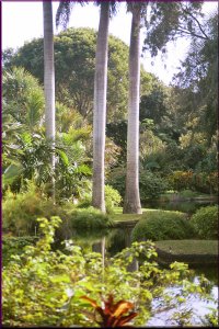 garden1ab.jpg