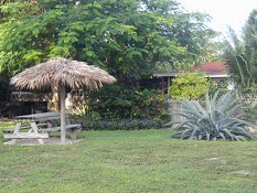 picnicarea.jpg