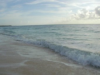 wavebeach.jpg